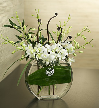 local-exclusive-flowers4giftseattle-simple-sincere-dendrobiums