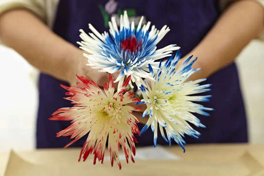 painted flowers with red white and blue painted flowers
