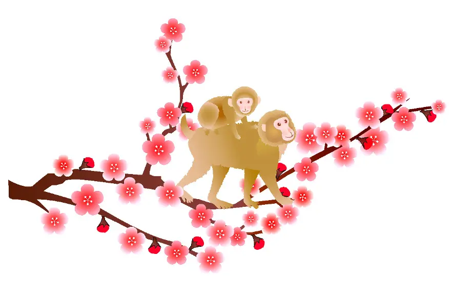 monkey-japanese-cherry-blossom